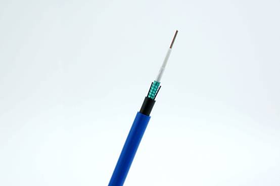 1542893060559155.jpg image001 (2).jpg